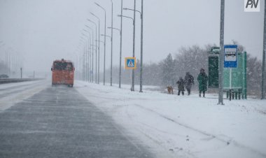 Павлодарское ведомство объявило об отмене конкурса на перевозки