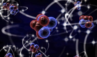 Павлодарские ученые признаны лучшими в республике