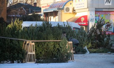 Павлодарцам подсластили помощь животным