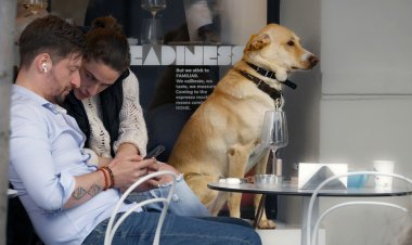 В Риме открыли первый ресторан для животных