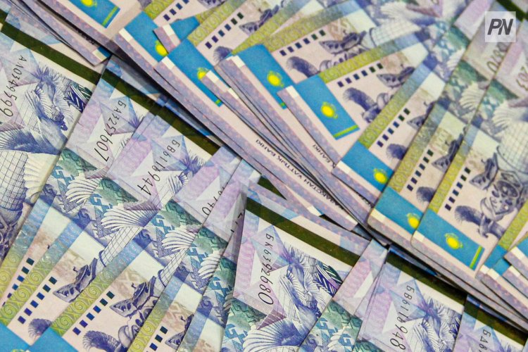 Молодежным НПО Павлодара предлагают побороться за гранты