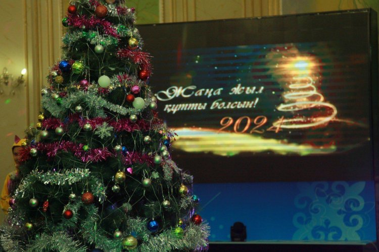 Особенную ёлку устроила павлодарская ассамблея народа Казахстана