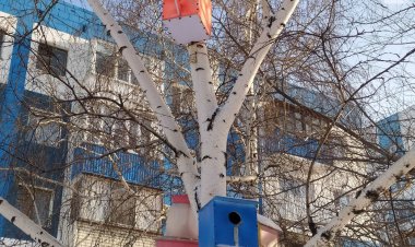 Сильный ветер и гололед ожидаются 2 января в Павлодарской области