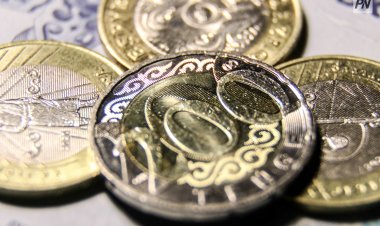 Павлодарлық шаруаларға берілген агросубсидиялар толық игерілді