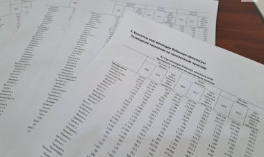 Кто проконсультирует павлодарцев по вопросам статистики