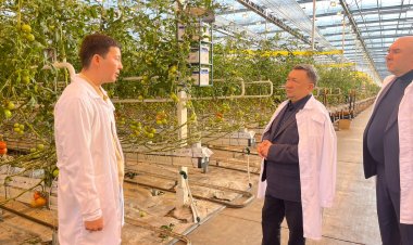 Чего не хватает тепличному комплексу Экибастуза