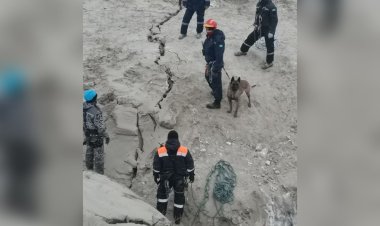 Майқайың кенішінде Астанадан кинологиялық есептоптар жұмылдырылды