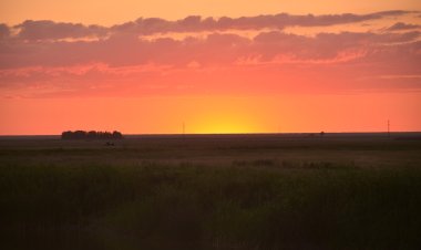 Какая рыба водится в водах Алаколя