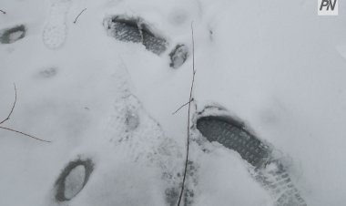 Павлодар облысында аязда қалған жолаушылар құтқарылды