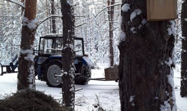 Павлодар облысында жабайы жануарларға «асханалар» жасалды