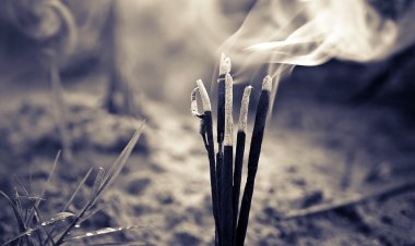 В Японии палочка с благовониями стала причиной пожара