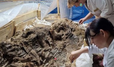 Павлодарские археологи реконструировали уникальный артефакт