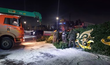 Павлодарда қатты желдің салдарынан орталық алаңда шырша құлады