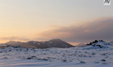 Актогайская прокуратура вернула государству миллионные участки