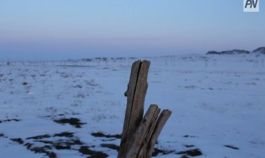 5 декабря в Павлодарской области будет бесснежным