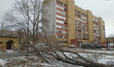 Сколько сёл Павлодарской области оставил без света штормовой ветер