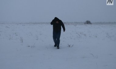 Павлодарская область вошла в топ-3 регионов по пропажам людей