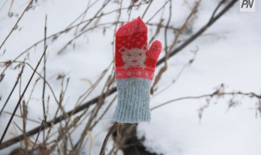 Павлодарда жоғалған бойжеткенді іздеу жалғасуда