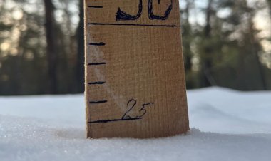 В «Ертiс орманы» снега в этом году выпало больше