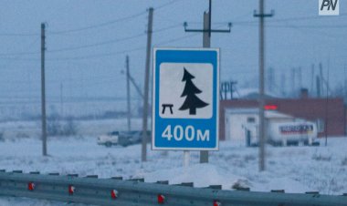 В Павлодарской области ответственных наказали за дефекты на дорогах