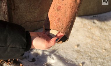 Павлодарда әйел есірткіні іш киіміне жасырып тасымалдаған