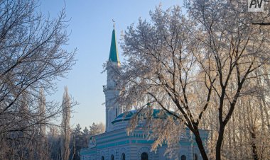 Туманно будет в Павлодарской области 20 января