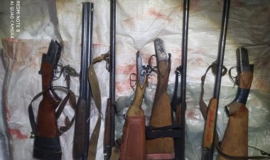 Двум павлодарцам грозит заключение за убитых косуль
