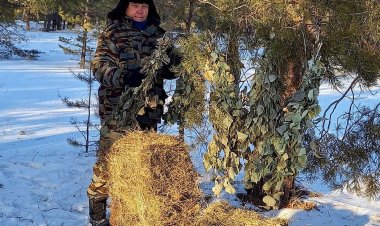 «Ертіс орманында» жабайы жануарларға арнайы азық орындарын дайындау жалғасуда