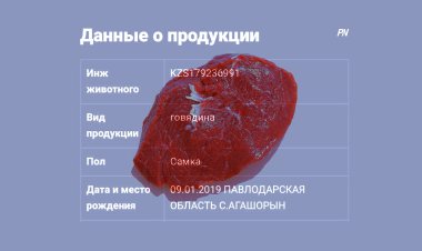 Павлодарлықтар Қазақстанда тұңғыш болып астың шыққан тегін білетін болады