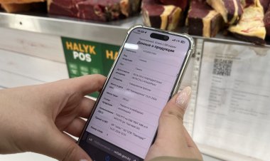 Цифровизация ветеринарии Казахстана началась с Павлодара