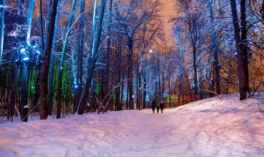 Зиму рисовали юные павлодарцы