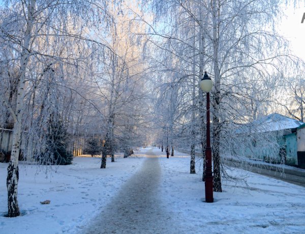 Небольшой снег пройдёт в Павлодарской области 17 декабря
