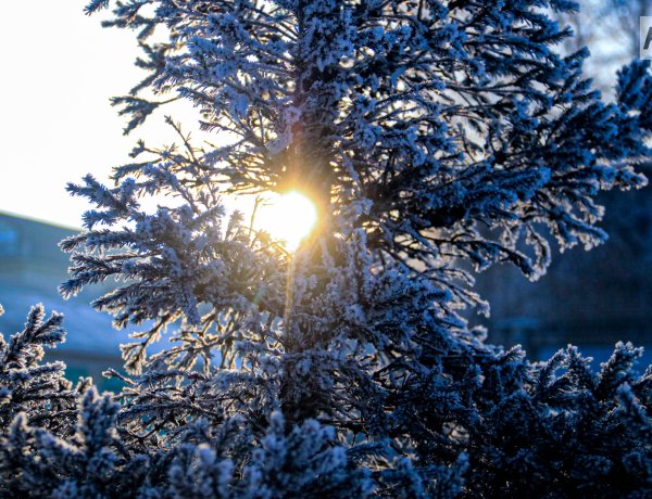 Снег и метель: погода в Павлодарской области 13 декабря