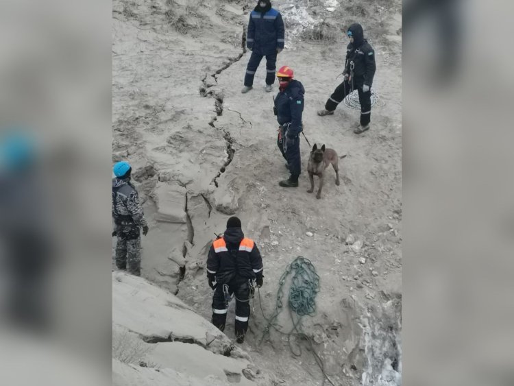 Майқайың кенішінде Астанадан кинологиялық есептоптар жұмылдырылды