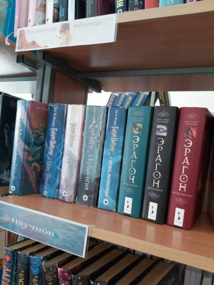 Астаналық бойжеткен Ертіс ауданының кітапханасына 500-ден астам кітап сыйлады