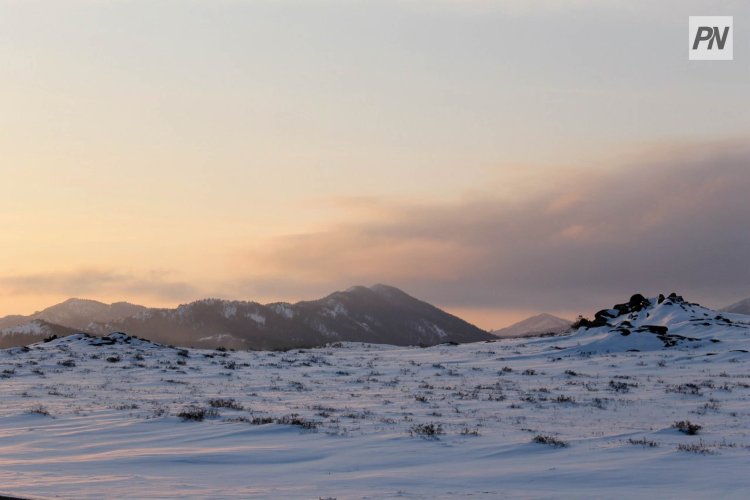 Актогайская прокуратура вернула государству миллионные участки