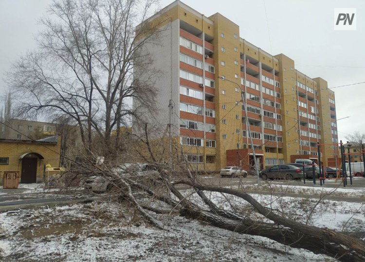 Сколько сёл Павлодарской области оставил без света штормовой ветер