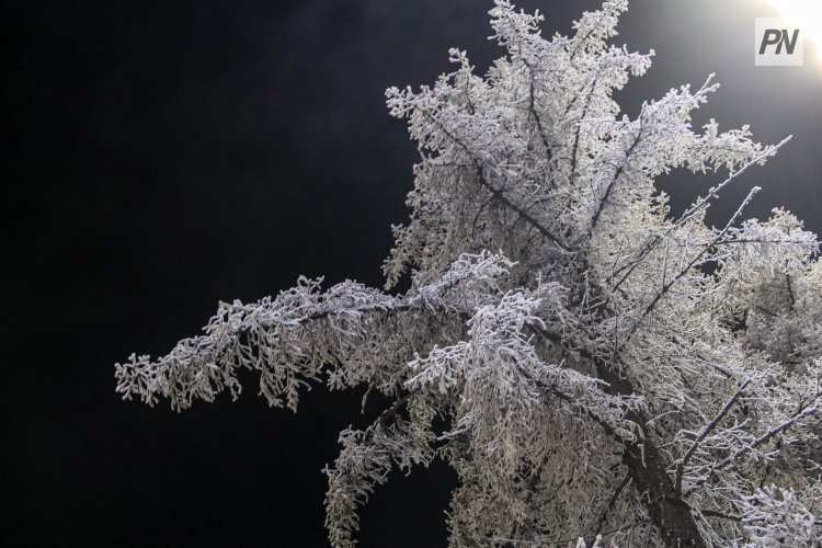 Низовая метель и снег ожидаются 27 января в Павлодарской области