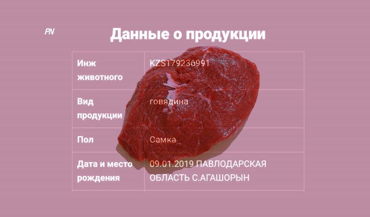 Павлодарцы одни из первых в Казахстане узнают «родословную» еды