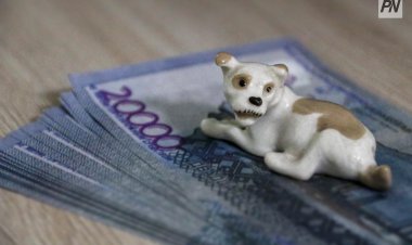Биыл Павлодар облысында 400 миллион теңгеге жуық алимент өндірілді