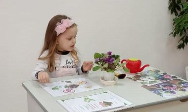 Павлодарда бөлме өсімдіктерін өсіретін жас экологтардың саны артуда