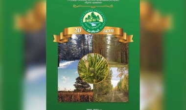 Павлодарлық орманшылар туралы кітап жарық көрді