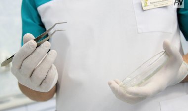 Павлодар облысында медициналық көмектің сапасына мониторинг жүргізу жүйесі іске қосылды