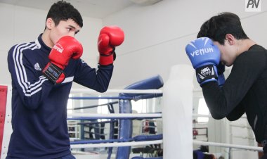 Правительство утвердило Концепцию развития бокса на 2026-2030 годы