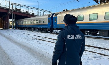 Павлодарда қараусыз жүрген малдар пойызды шұғыл тежеуге түрткі болды