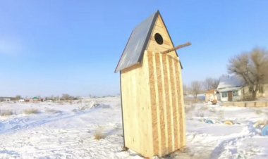 В Богдановке построили скворечник размером с дом