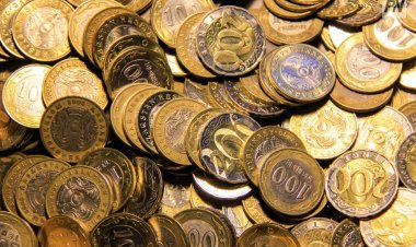 Павлодарцам начнут настойчивей прививать налоговую культуру