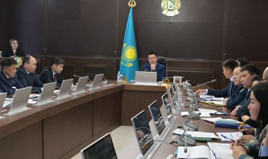 Чипсы өндіру, сүт өңдеу зауыты: Павлодар облысында қандай жобалар жүзеге асырылады?