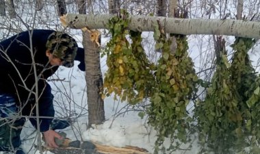 «Ертіс орманында» жануарлар азықсыз қалдырылмады