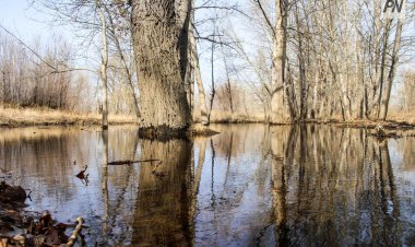 В Павлодарской области увеличили зону риска по паводкам